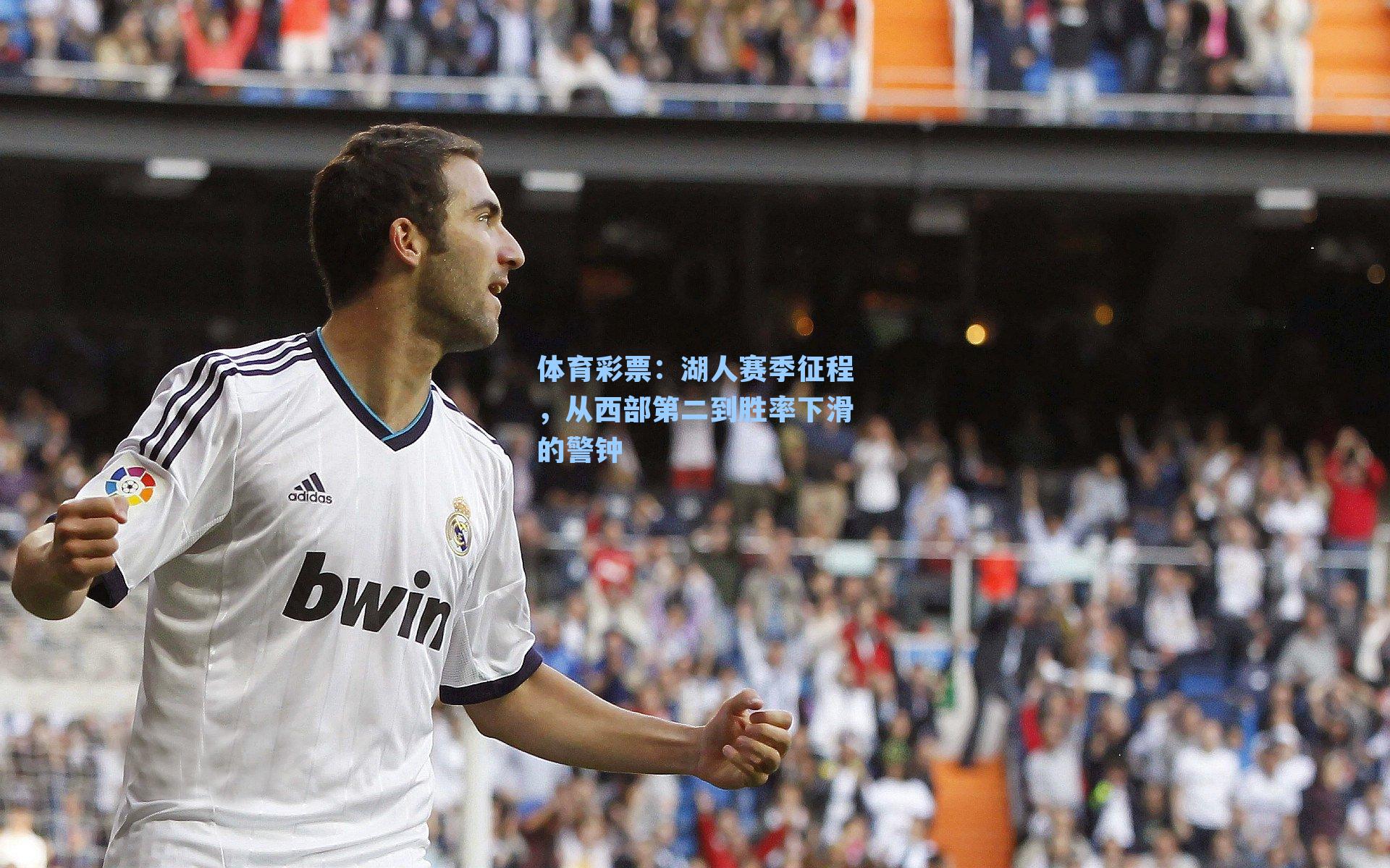 湖人赛季征程，从西部第二到胜率下滑的警钟